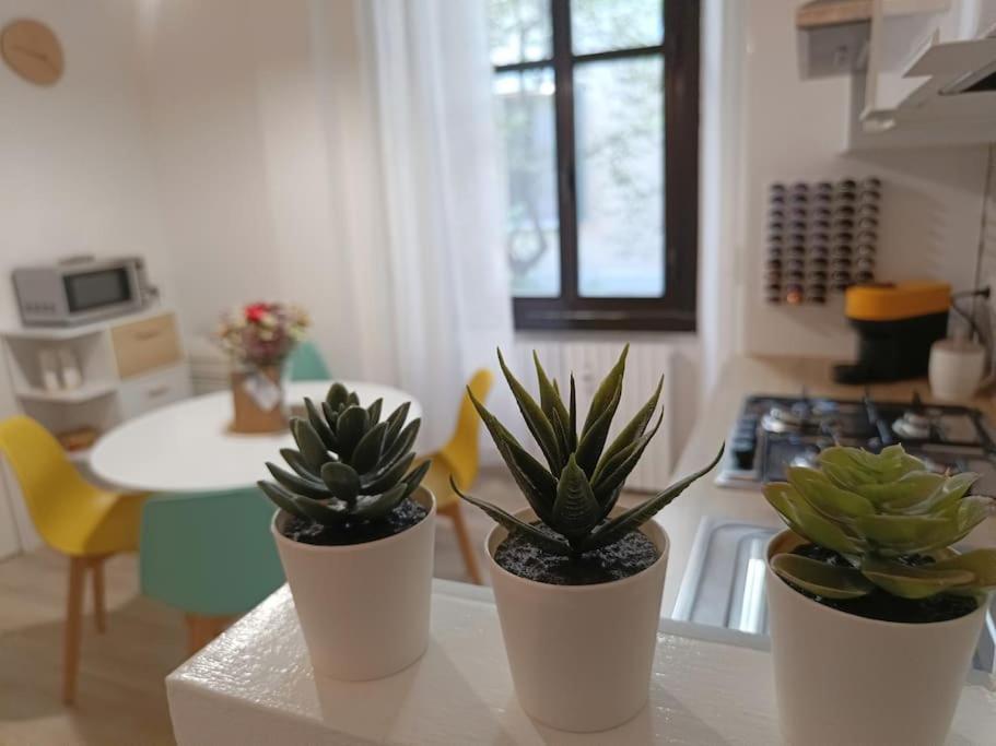 Da Rosa E Pier - Charming Central Apartment Milano Ngoại thất bức ảnh